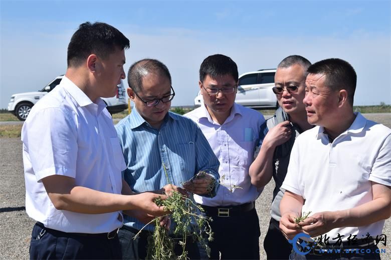 1591455447475370.jpg 微信图片_20200606225131.jpg