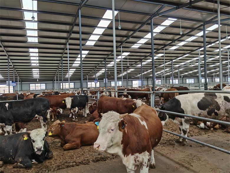 1591602796959552.jpg 微信图片_20200608154749.jpg