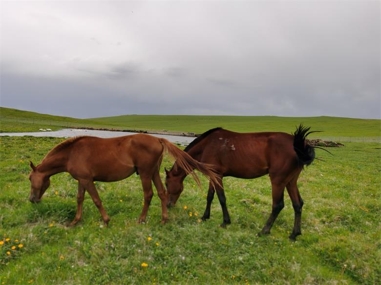 1593083234805874.jpg 微信图片_20200625185138.jpg