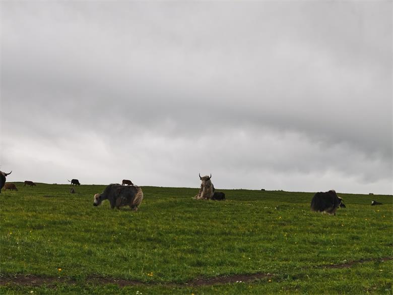 1593083213409100.jpg 微信图片_20200625185112.jpg