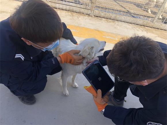 1593517364953337.jpg 微信图片_20200630193648.jpg