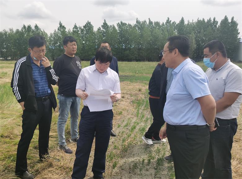 1593772679211037.jpg 微信图片_20200703183719_看图王.jpg