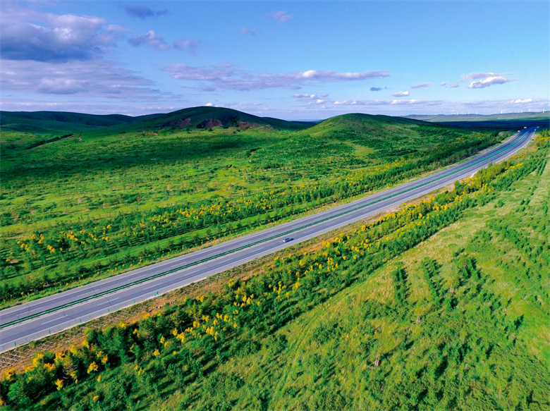 1593773069808333.png 图片3.png