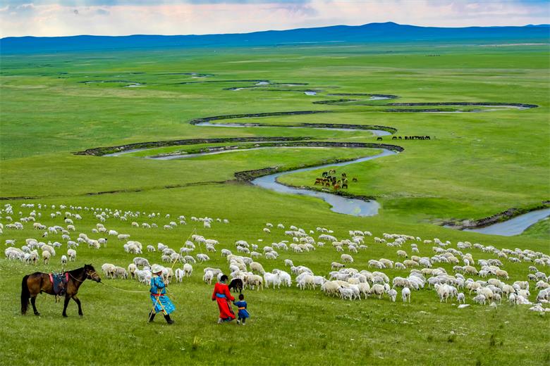 1593773001277574.jpg 微信图片_20200703182558.jpg