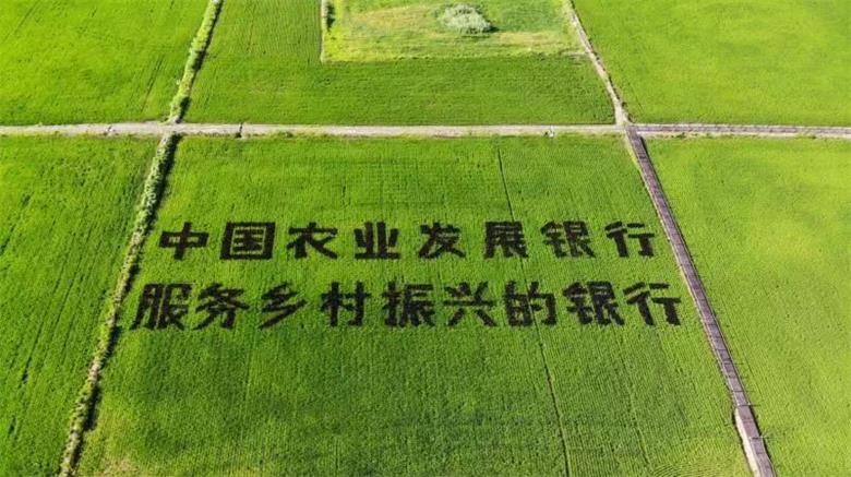 1665578120436532.jpg 微信图片_20221012202808.jpg