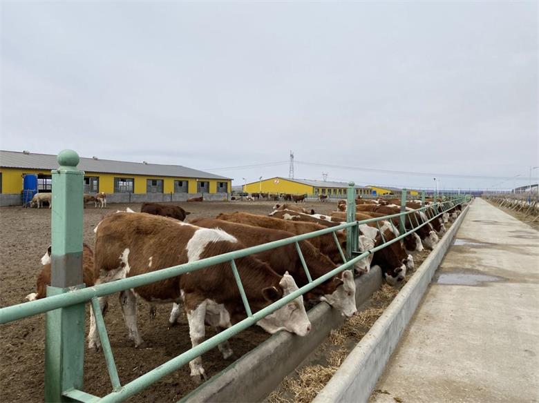 1666052806376695.jpg 1.jpg