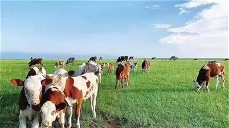 1667651315657759.jpg 微信图片_20221105201549.jpg