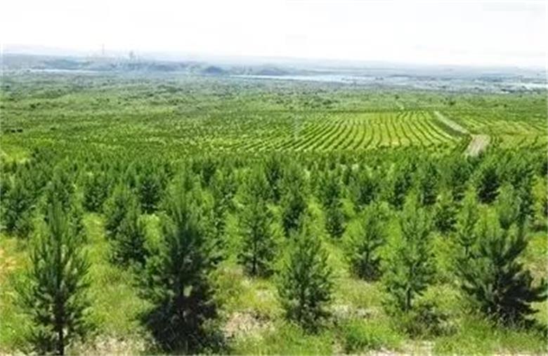 1667651320603156.jpg 微信图片_20221105201553.jpg