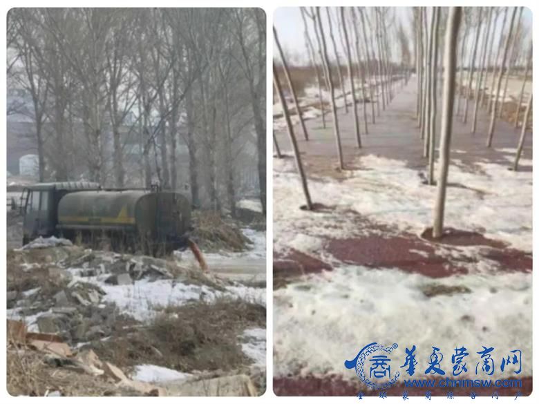 1669906270443218.jpg 1.jpg