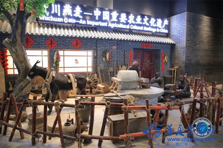 1690352319238334.jpg 48.jpg