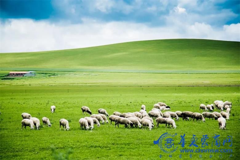 1690352534902778.jpg 67.jpg