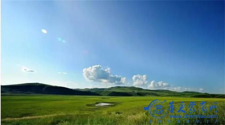 1690352558339121.jpg 640 (72).jpg