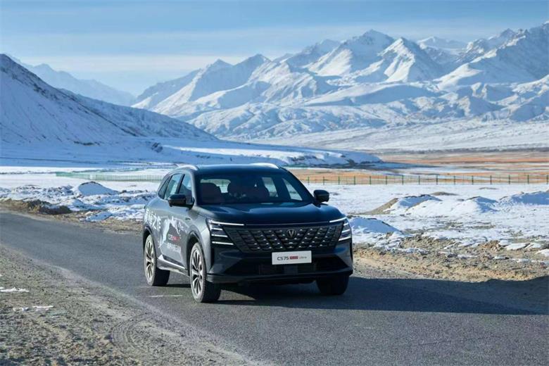 1735525953337370.jpg 2.jpg